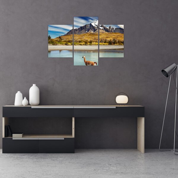 Obraz - Národný park Torres del Paine (90x60 cm)