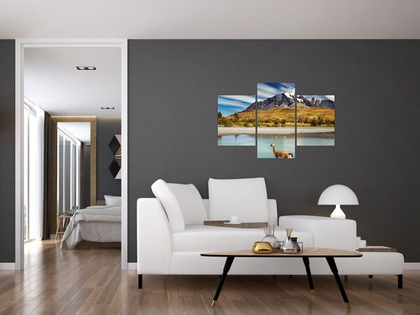 Obraz - Národný park Torres del Paine (90x60 cm)