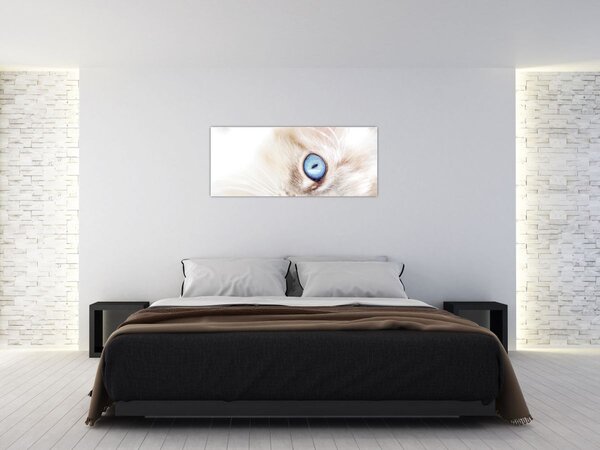 Obraz - Mačiatko (120x50 cm)