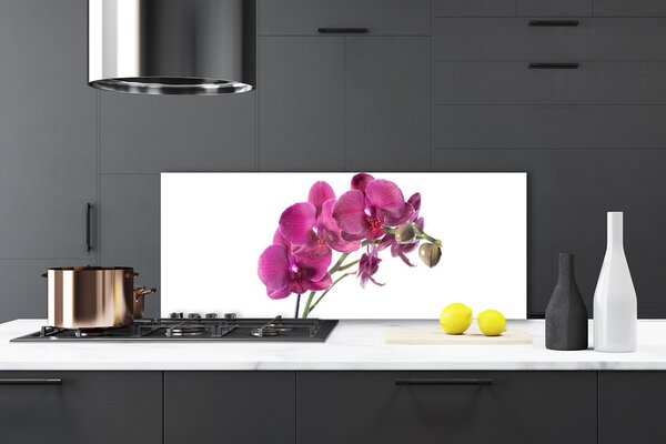 Sklenený obklad Do kuchyne Orchidea kvety príroda 125x50 cm