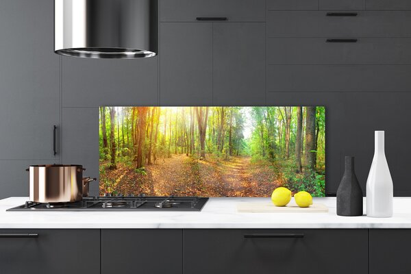 Sklenený obklad Do kuchyne Slnko príroda lesné chodník 125x50 cm