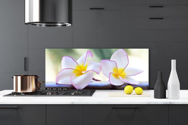 Sklenený obklad Do kuchyne Kvety plátky plumérie 125x50 cm