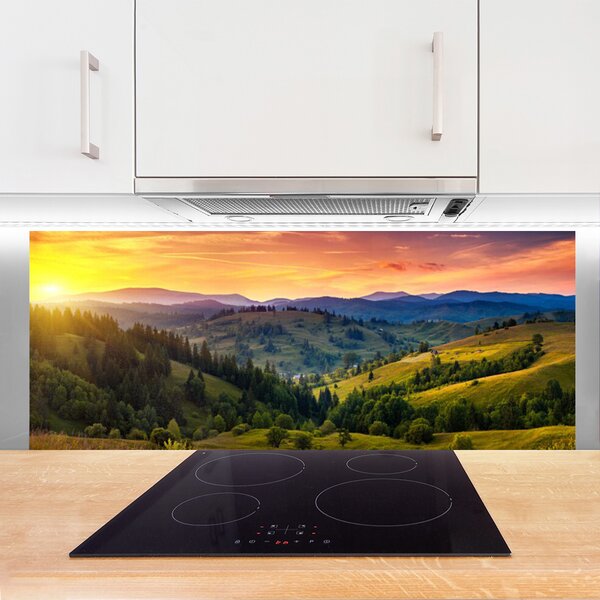 Sklenený obklad Do kuchyne Krajina lúka západ 125x50 cm