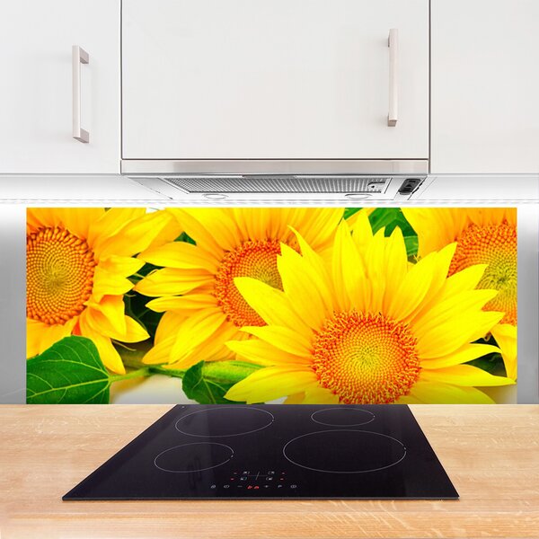 Sklenený obklad Do kuchyne Slnečnica kvet príroda 125x50 cm