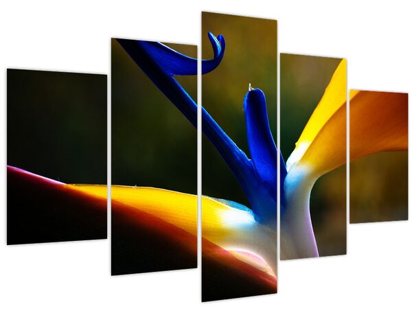 Obraz - Exotický kvet (150x105 cm)