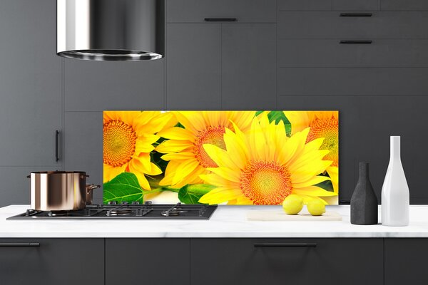 Sklenený obklad Do kuchyne Slnečnica kvet príroda 125x50 cm