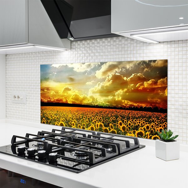 Sklenený obklad Do kuchyne Pole slnečníc krajina 120x60 cm