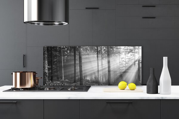Sklenený obklad Do kuchyne Les príroda lúče slnka 125x50 cm