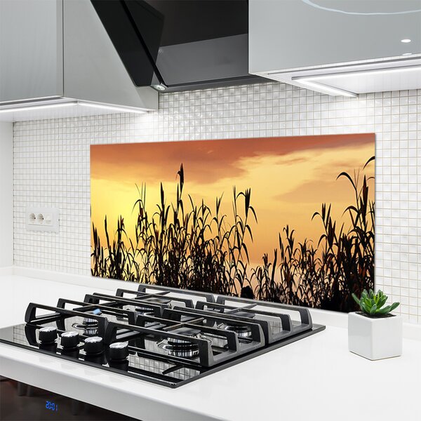 Sklenený obklad Do kuchyne Listy západ lúka pole 120x60 cm