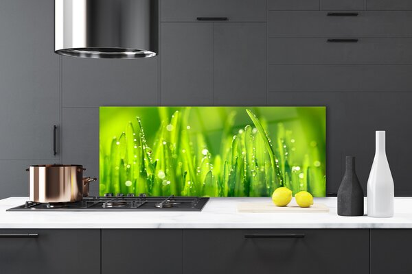Sklenený obklad Do kuchyne Zelená tráva kvapky rosy 125x50 cm