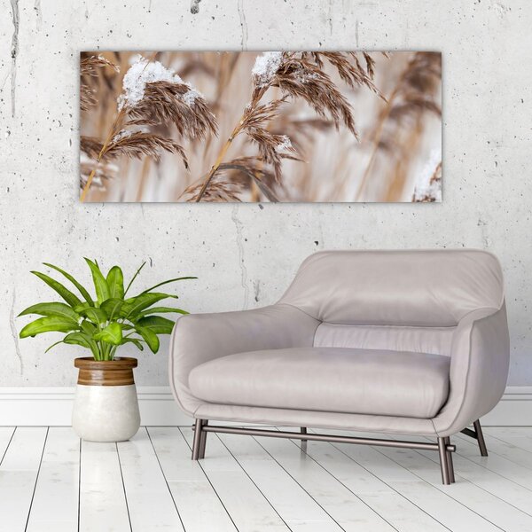 Obraz - Lipnica (120x50 cm)