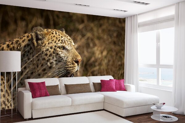 Samolepiaca vliesová fototapeta Leopard na love 375 x 250 cm