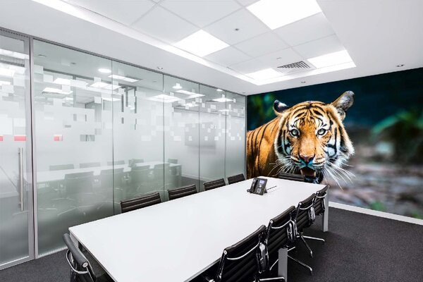 DIMEX | Vliesové fototapety na stenu Tiger malajzijský MS-5-0544 | 375 x 250 cm | zelená, biela, čierna, oranžová, hnedá