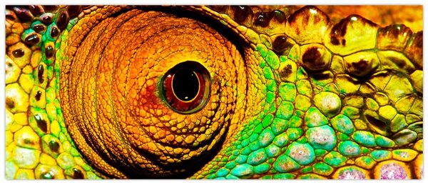 Obraz - Chameleon (120x50 cm)