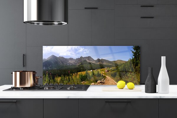 Sklenený obklad Do kuchyne Hala góry droga natura łąka 125x50 cm