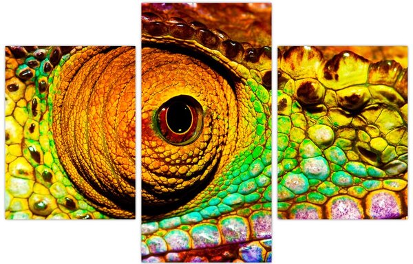 Obraz - Chameleon (90x60 cm)