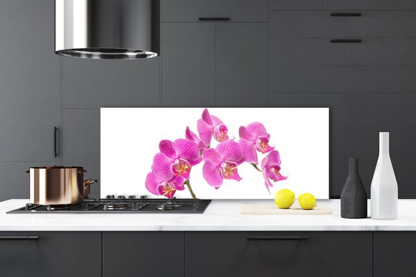Sklenený obklad Do kuchyne Orchidea kvety príroda 125x50 cm