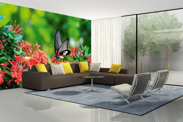 DIMEX | Vliesové fototapety na stenu Motýľ na kvetine MS-5-0464 | 375 x 250 cm | zelená, červená, čierna
