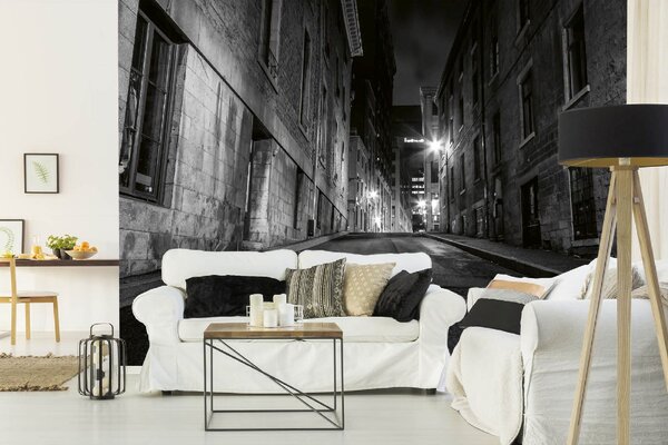 DIMEX | Vliesové fototapety na stenu Starý Montreal MS-5-0752 | 375 x 250 cm | biela, čierna