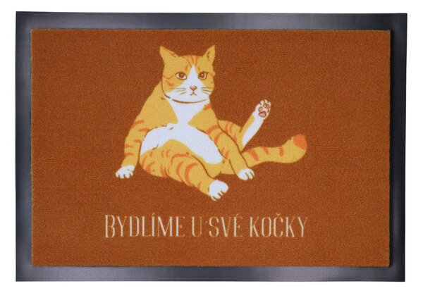 Mercury Flooring , TRHÁK: Rohožka Bývame u svojej mačky 40x60 cm, 40x60, oranžová