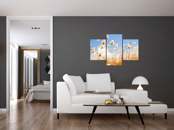 Obraz - Zlaté pole (90x60 cm)