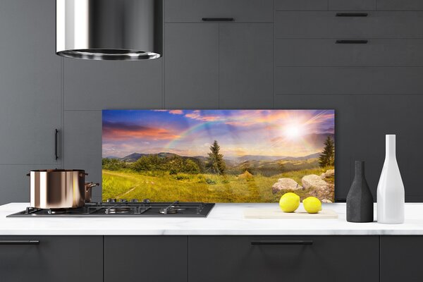 Sklenený obklad Do kuchyne Hory lúka kamene príroda 125x50 cm