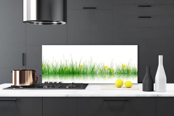 Sklenený obklad Do kuchyne Príroda tráva kvety 125x50 cm