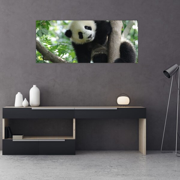 Obraz - Panda na strome (120x50 cm)