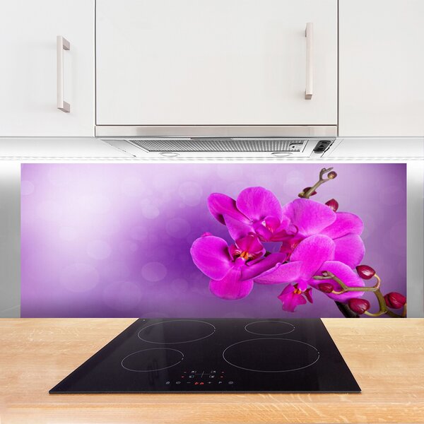 Sklenený obklad Do kuchyne Kvety plátky orchidea 125x50 cm