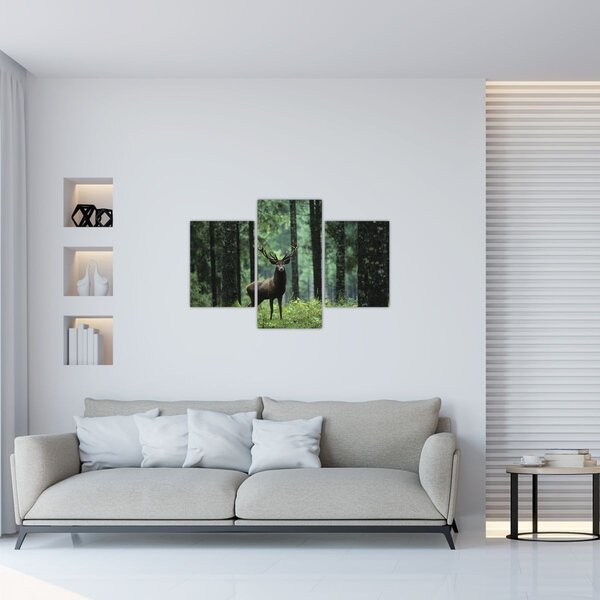 Obraz - Jeleň v hlbokom lese (90x60 cm)