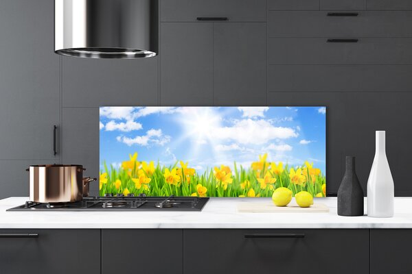 Sklenený obklad Do kuchyne Narcisy lúka tráva príroda 125x50 cm