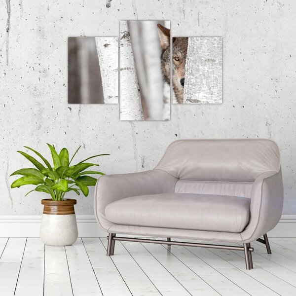 Obraz - Vlk (90x60 cm)