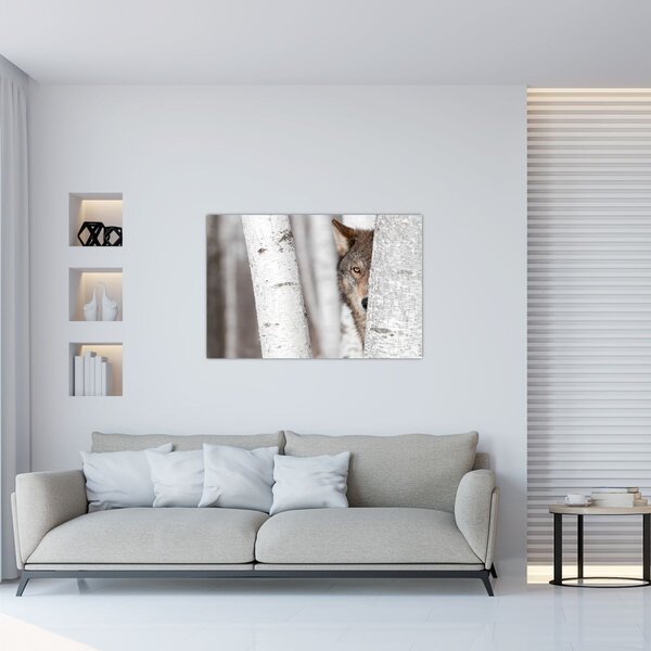 Obraz - Vlk (90x60 cm)