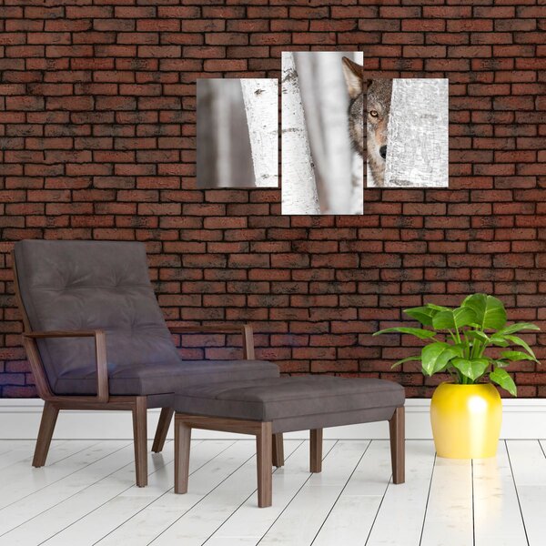 Obraz - Vlk (90x60 cm)