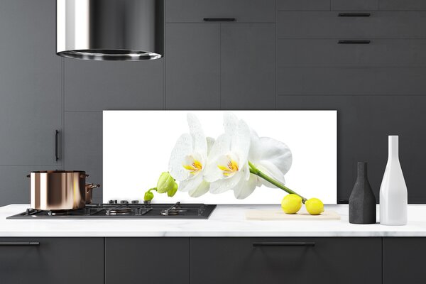 Sklenený obklad Do kuchyne Plátky kvet bíla orchidea 125x50 cm