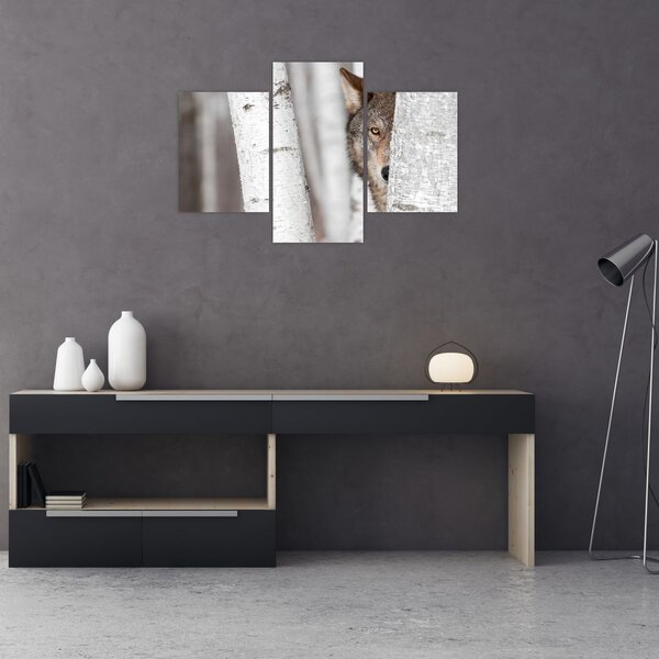 Obraz - Vlk (90x60 cm)