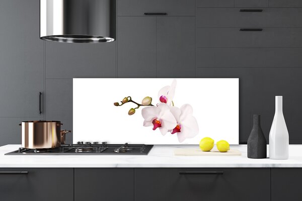 Sklenený obklad Do kuchyne Kvety príroda orchidea 125x50 cm