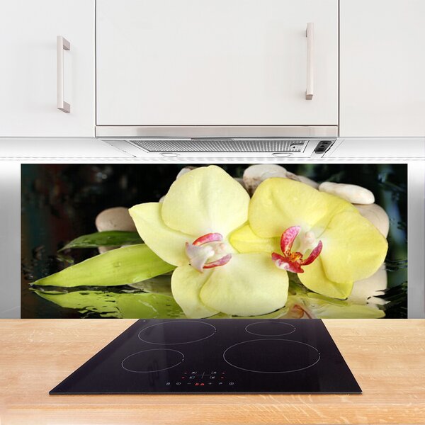 Sklenený obklad Do kuchyne Okvetné plátky orchidea 125x50 cm