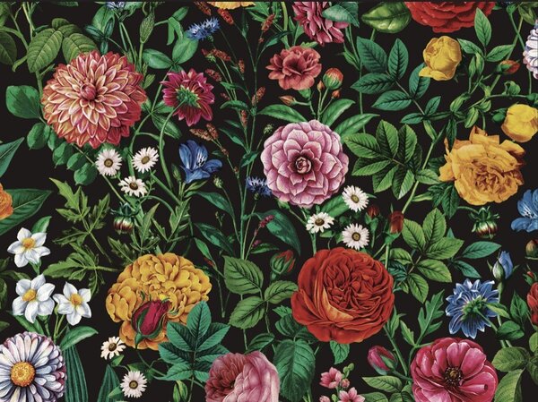 Vinylová tapeta Velvet Bloom čierna