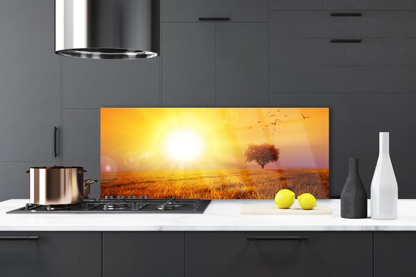 Sklenený obklad Do kuchyne Západ slnka lúka plátky 125x50 cm