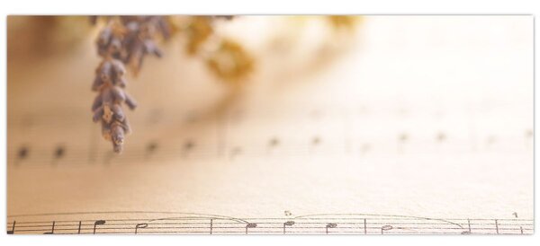 Obraz - Pieseň (120x50 cm)