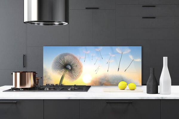 Sklenený obklad Do kuchyne Púpava kvety 125x50 cm