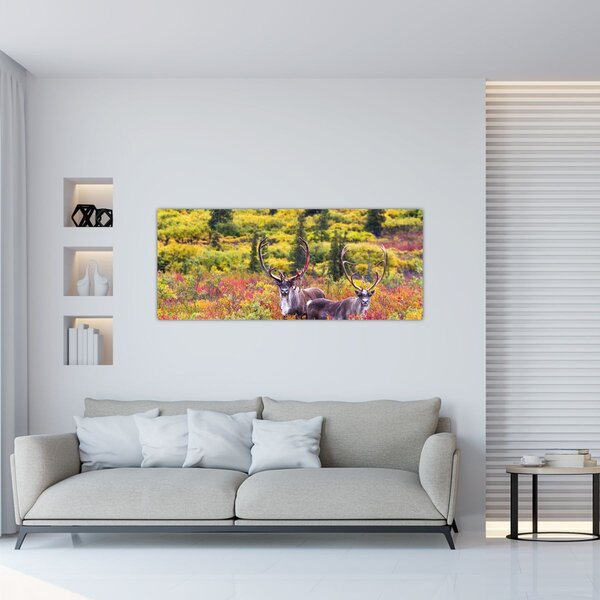 Obraz - Karibu na Aljaške (120x50 cm)