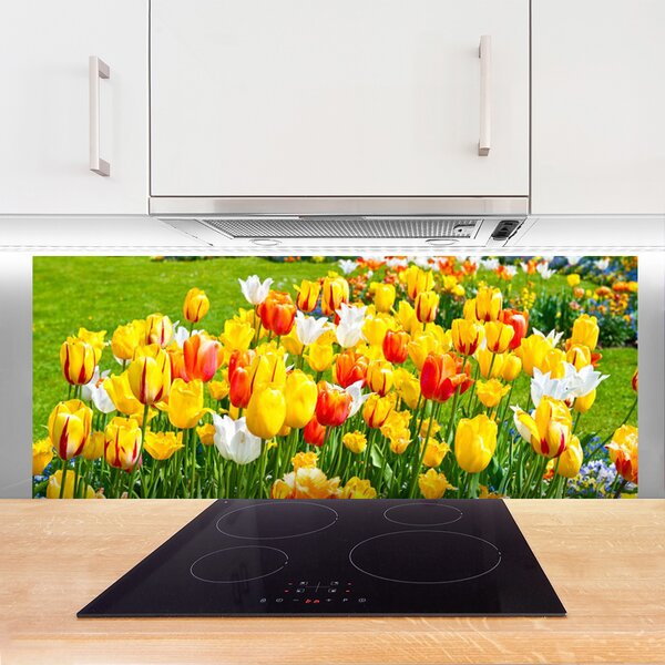 Sklenený obklad Do kuchyne Tulipány kvety príroda 125x50 cm