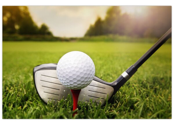 Obraz - Golf (90x60 cm)