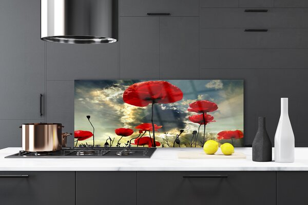 Sklenený obklad Do kuchyne Maky kvety príroda 125x50 cm