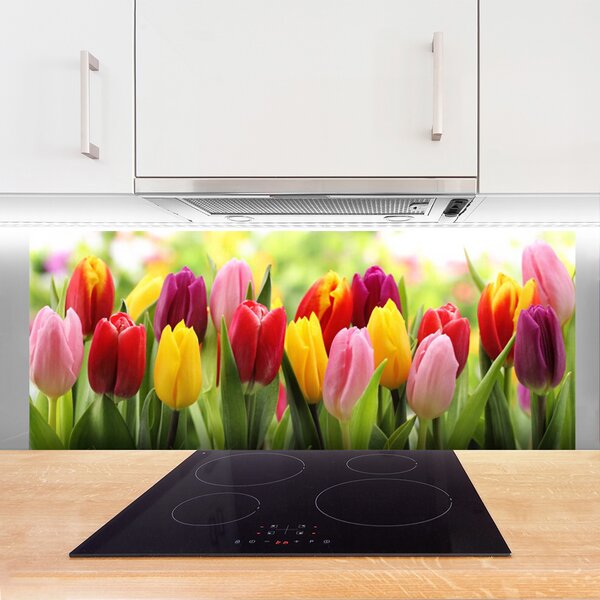 Sklenený obklad Do kuchyne Tulipány kvety príroda 125x50 cm