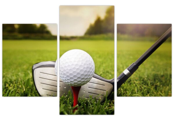 Obraz - Golf (90x60 cm)