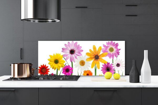 Sklenený obklad Do kuchyne Farebné kvety príroda 125x50 cm
