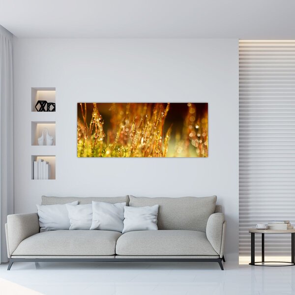 Obraz - Detail rosy (120x50 cm)